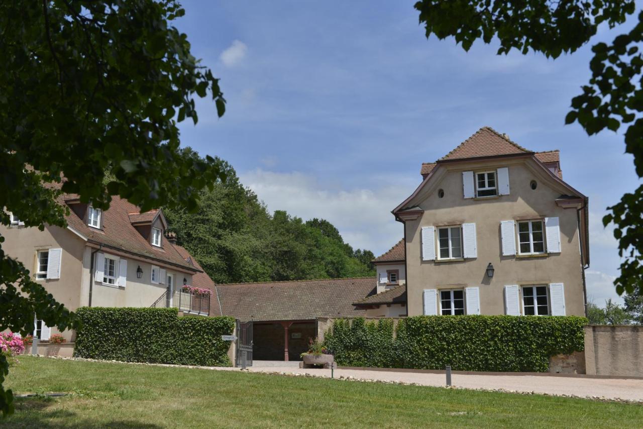 Maison D'Hotes Les Jardins De Madeleine Bernardvillé Exterior foto